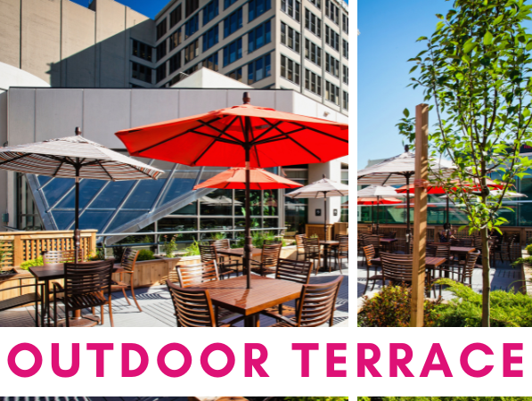 web-terrace